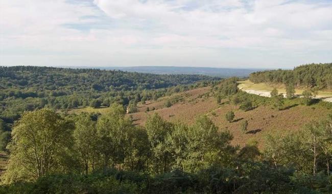 View over the Devils Punchbowl in Hindhead Surrey