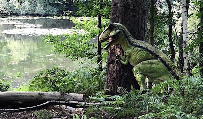 Dinosaur hiding in the woods