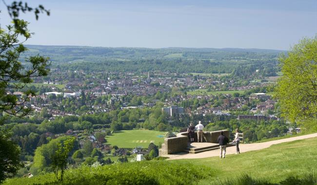 View from Box Hill