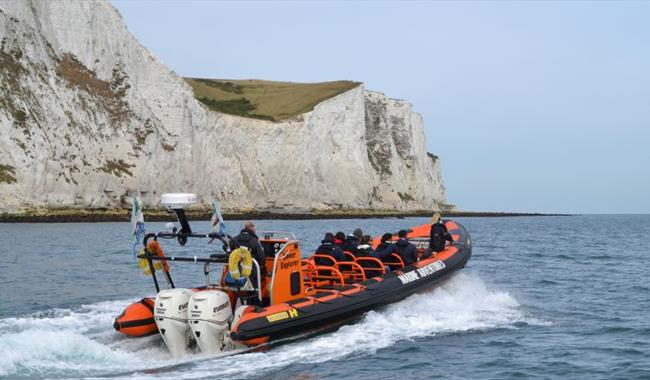 Dover Sea Safari