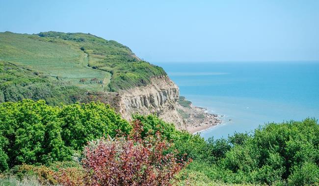 Hastings Country Park Nature Reserve