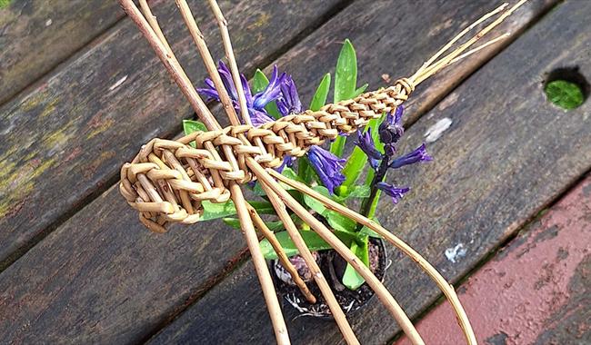 Dragonfly Willow Weaving for children 10-17 yrs workshop