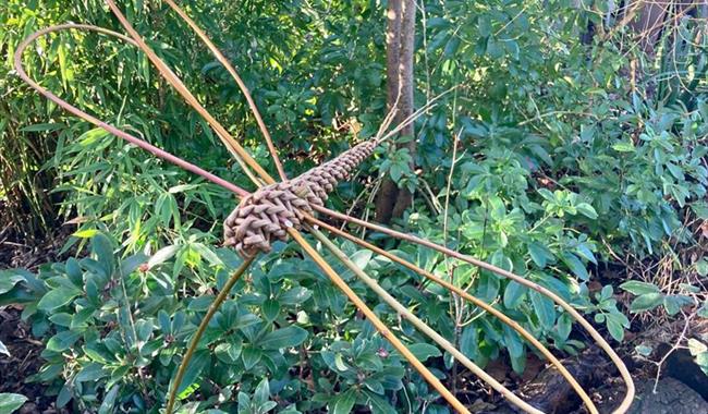 Dragonfly Willow Weaving workshop