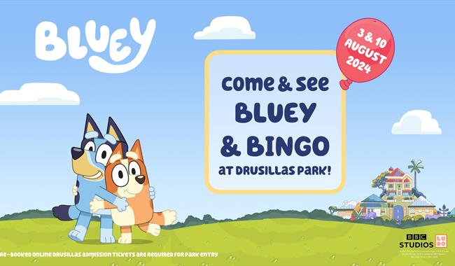 bluey and bingo at drusillas park