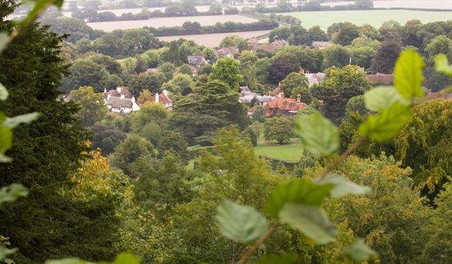 Selborne