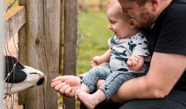 An Afternoon with Dad