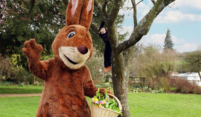 Easter Bunny at Marwell Zoo