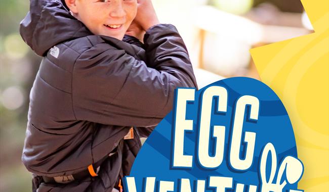 Egg-venture at Go Ape