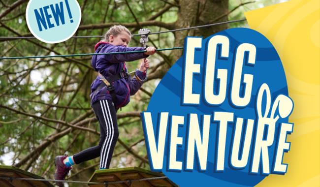 Egg-venture at Go Ape