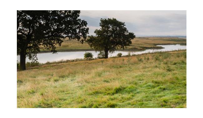 Elmley Marshes Nature Reserve