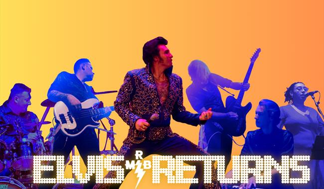Elvis Returns