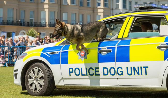 Eastbourne 999 Emergency Free Event