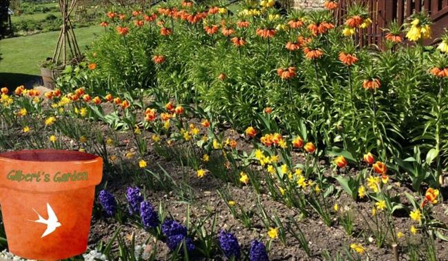 Gilbert's Garden: Blub Planting Day