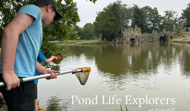 Pond Dipping at Painshill