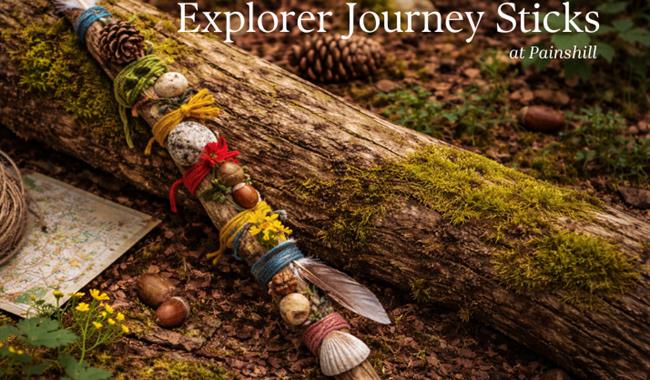 Explorer Journey Sticks