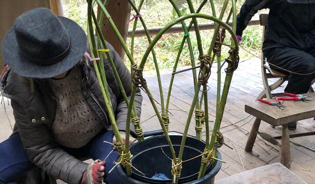 A woman making a plant support