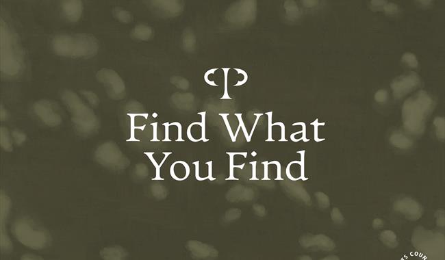 Find what you Find banner
