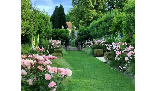 Lawn pathway lined with pink roses and lush greenery in a formal garden at Pashley Manor Gardens.
