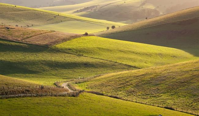 Sussex Downs