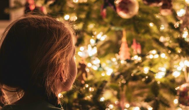 Young child looking at large indoor Christmas tree