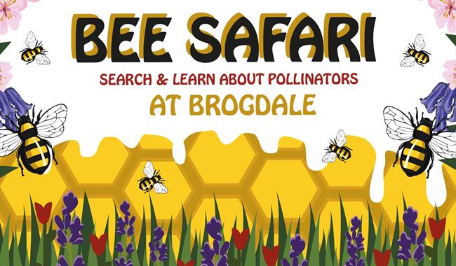 Bee Safari