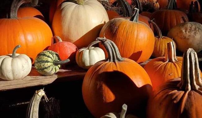 Pumpkins