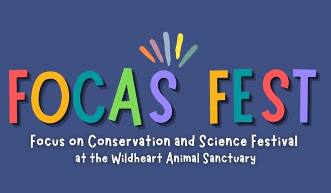 FOCAS FEST 2024