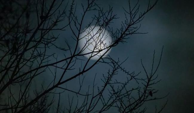 Family-Friendly ghostly tales at Samphire Hoe in Dover