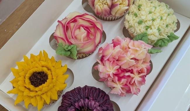 Family Cupcake Decorating