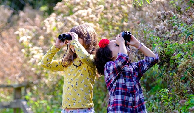 Family Optics Demo Day  at WWT Arundel Wetland Centre