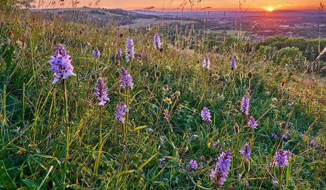 Farming for Nature