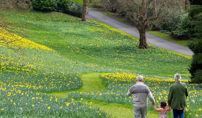 Feb Half Term at Waddesdon Manor