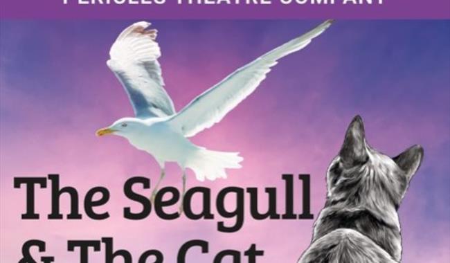 Cat looking at a seagull, with show title