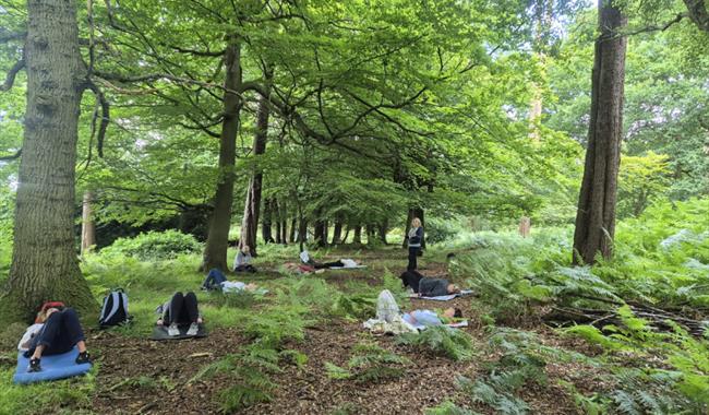 Forest Bathing