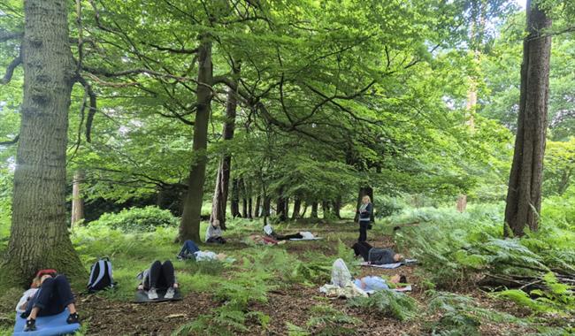Forest Bathing