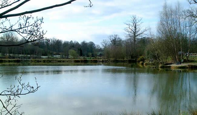 Frant Lakes Fishery