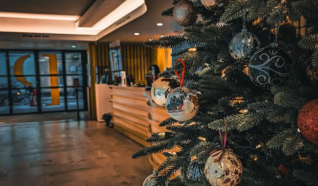 Christmas Tree in Pallant House Gallery