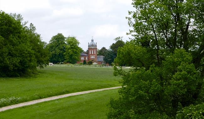The Clock Tower