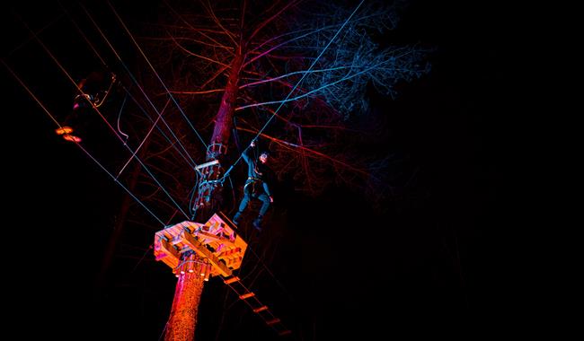 Go Ape Bedgebury Sundown Adventures