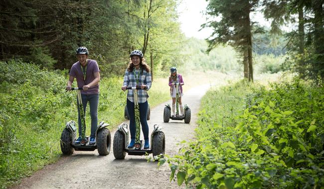 Go Ape At Leeds Castle Adventure Park Playground In Maidstone Maidstone Visit South East England