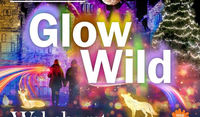 Glow Wild, the magical winter lantern trail