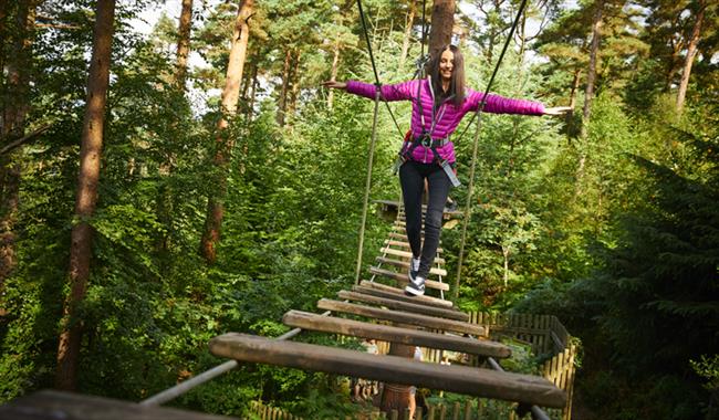 Teenager having a go at Tree Top Challenge at Go Ape Alice Holt Forest in Surrey