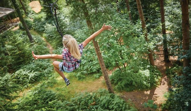 Women on zipline at Go Ape Southampton