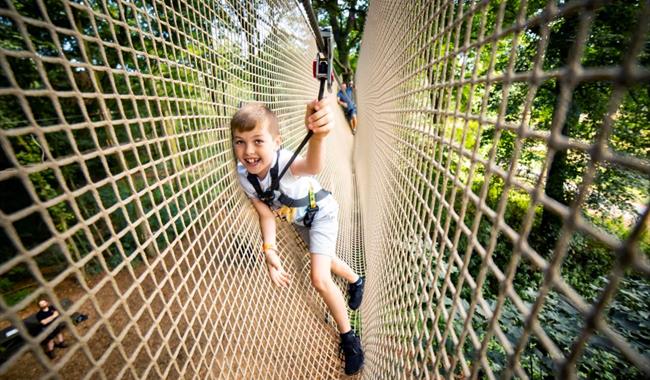 Boy on Treetop Adventure at Go Ape Black Park