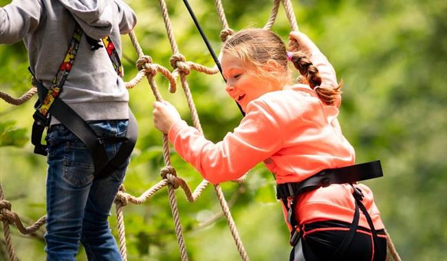 Treetop Adventure