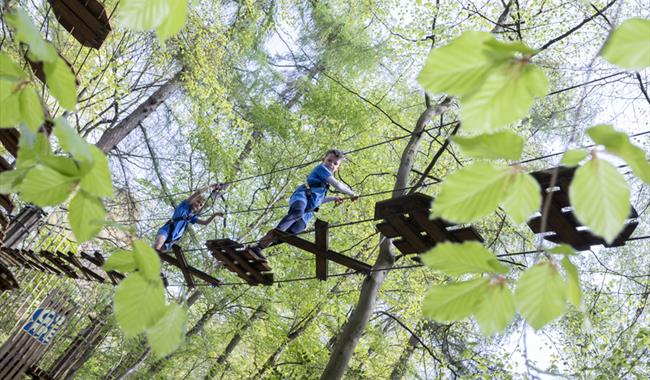 Spring into adventure at Go Ape Crawley