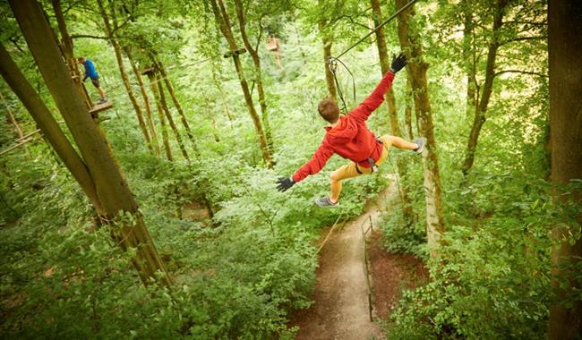 Zipline at Go Ape Bracknell
