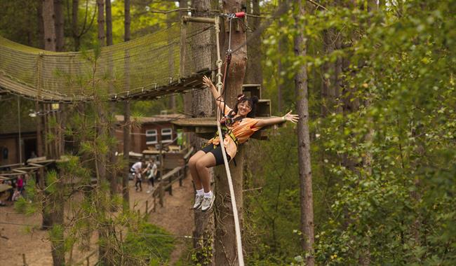 Go Ape Treetop Adventure