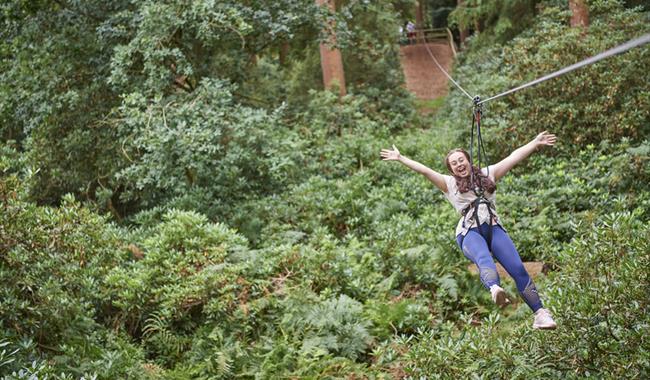 Go Ape Treetop Challenge
