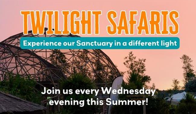 Twilight Safaris